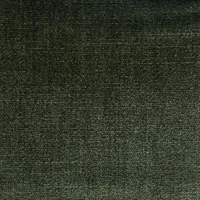 Velvet, Warwick Manhattan 2 Conifer (4)