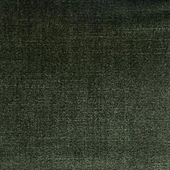 Velvet, Warwick Manhattan 2 Conifer (4)